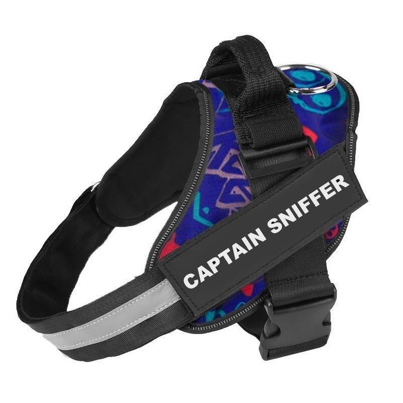 CURATED™  - CUSTOM FIT NO-PULL DOG HARNESS