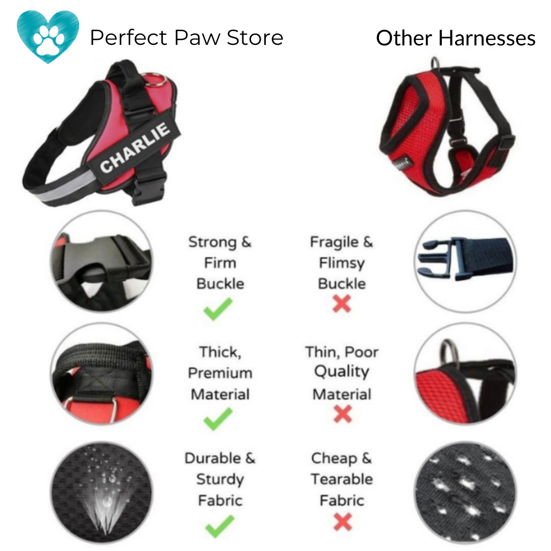 CURATED™  - CUSTOM FIT NO-PULL DOG HARNESS