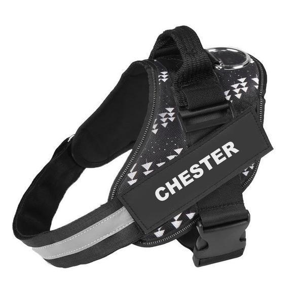 CURATED™  - CUSTOM FIT NO-PULL DOG HARNESS