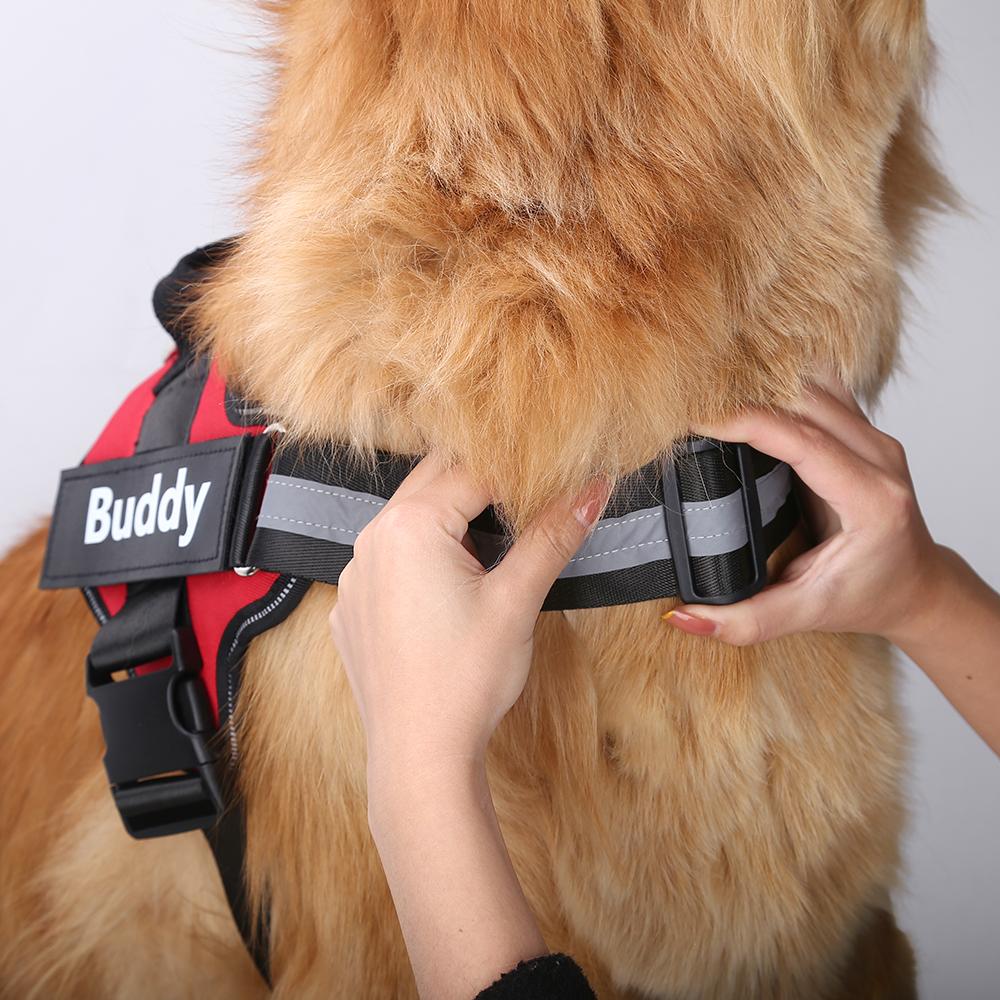 CURATED™  - CUSTOM FIT NO-PULL DOG HARNESS