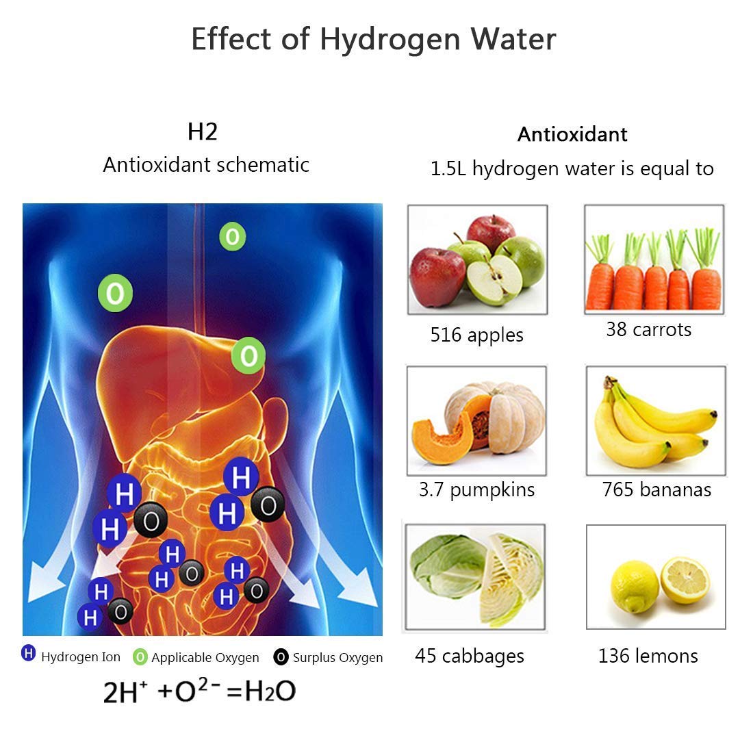 CURATED™ - HYDROGEN WATER BOTTLE