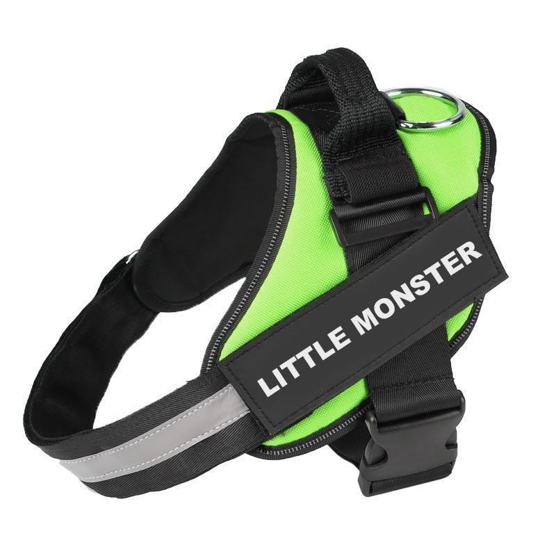 CURATED™  - CUSTOM FIT NO-PULL DOG HARNESS