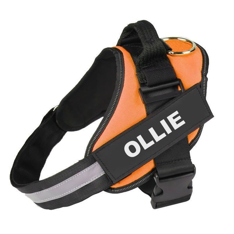 CURATED™  - CUSTOM FIT NO-PULL DOG HARNESS