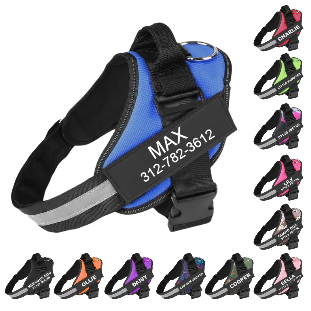 CURATED™  - CUSTOM FIT NO-PULL DOG HARNESS