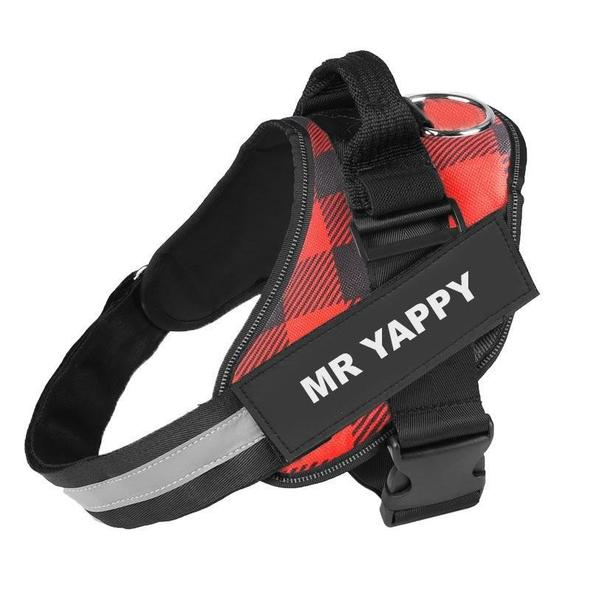CURATED™  - CUSTOM FIT NO-PULL DOG HARNESS